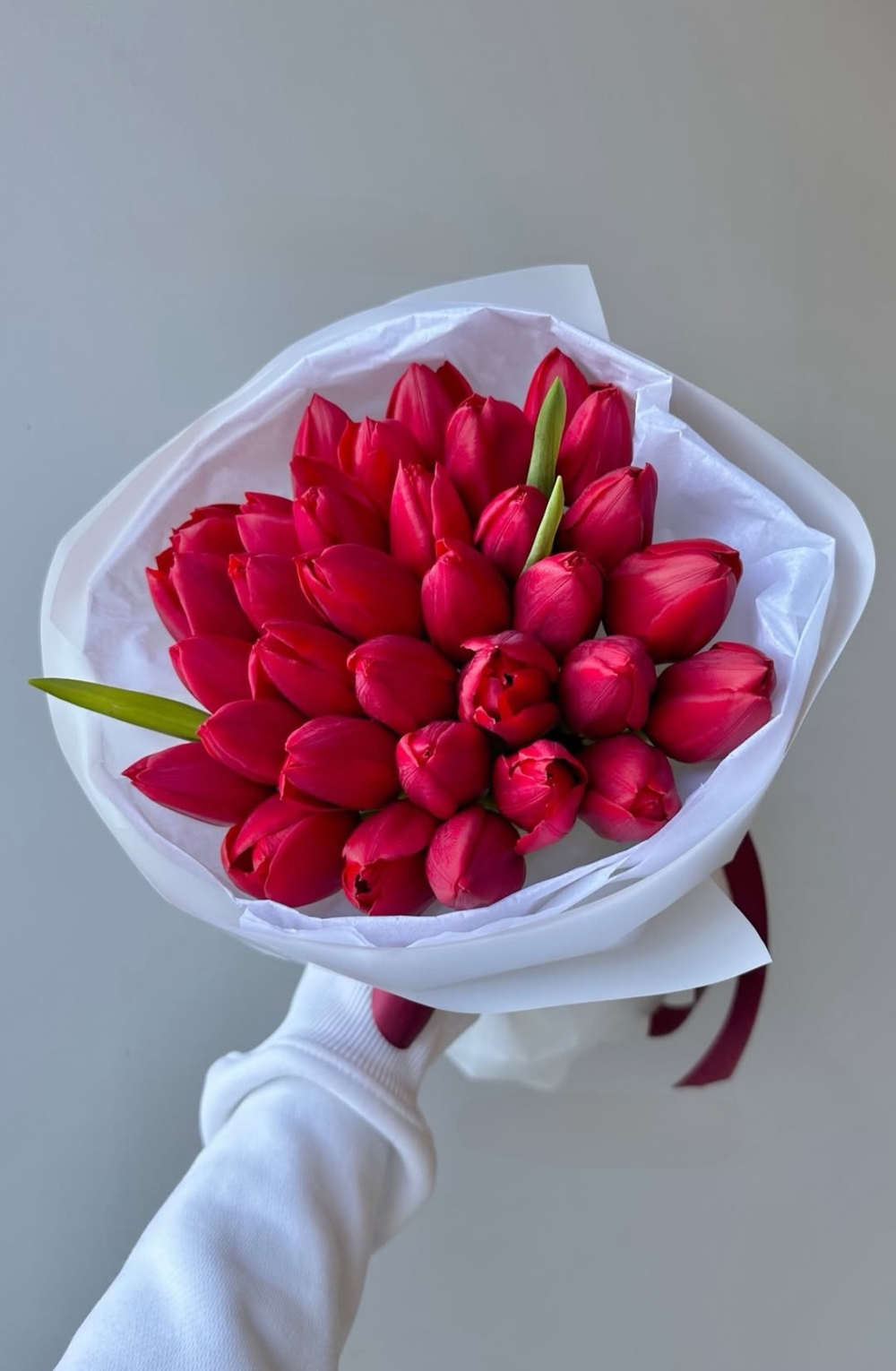 31 красный тюльпан