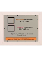 Рамка для постера и фотографий 29,7x42