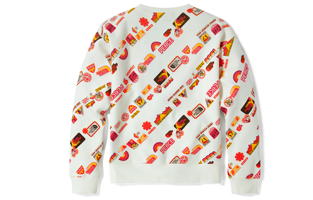 Толстовки THE NORTH FACE Vanlife Logo, NF0A5JW9-11P