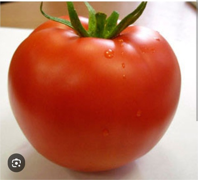 Томат Линда - Linda F1 1000 семян