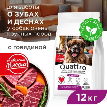 Корм сухой для взрослых собак очень крупных пород, премиум полнорационный комплекс, для заботы зубов и десен, с говядиной, 12 кг, QUATTRO