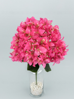 Букет Бугенвиллея