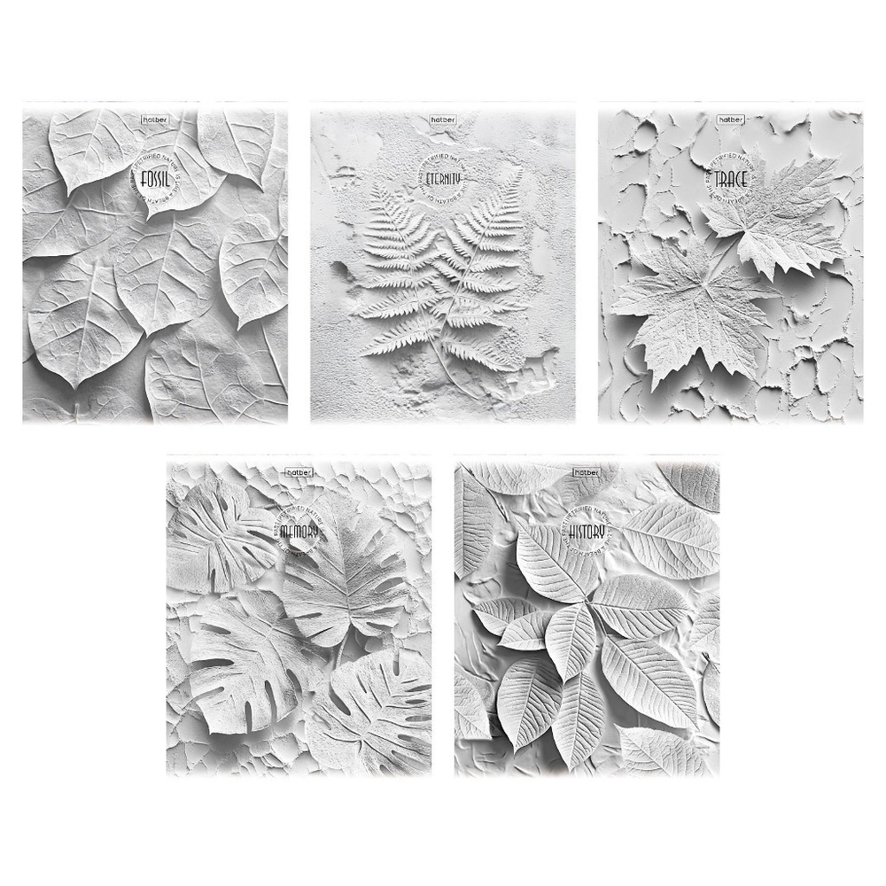 Тетрадь 48 л. клетка ХАТБЕР Дыхание вечности