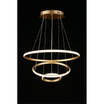 Подвесная светодиодная люстра Aployt Janina APL.018.13.60