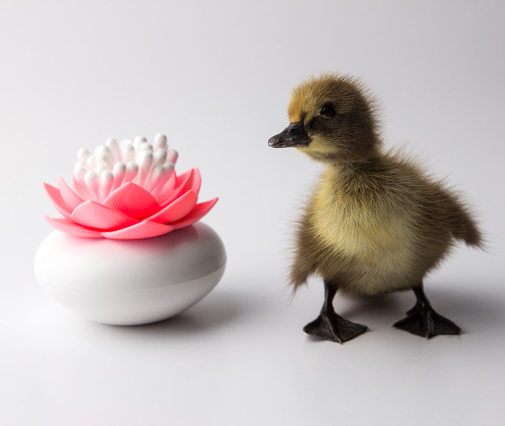 Контейнер для хранения ватных палочек lotus, белый/розовый