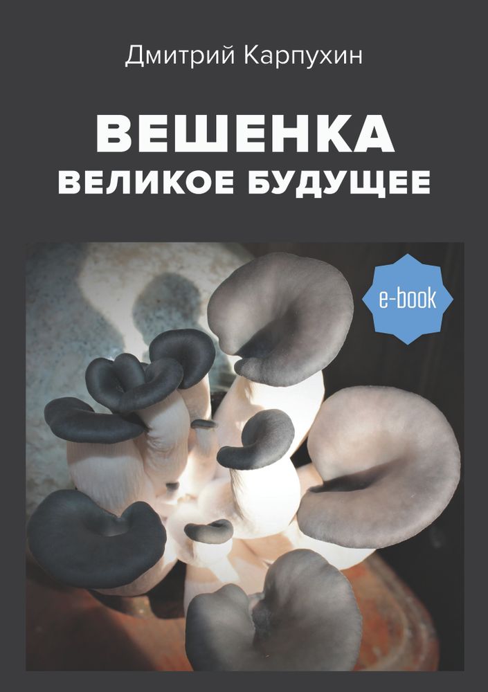 Вешенка: великое будущее