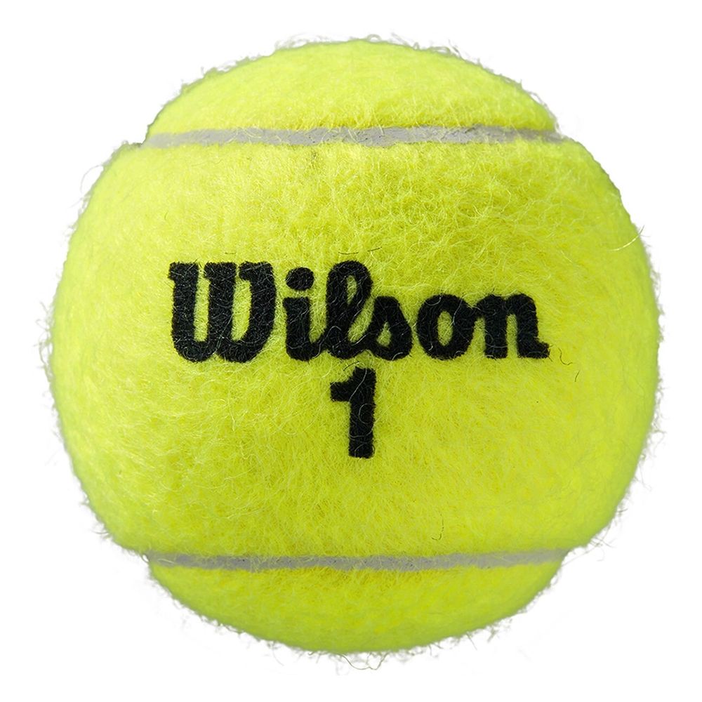 Мяч теннисный WILSON Roland Garros All Court, WRT116400, одобр.ITF, фетр, нат.резина, уп.4 шт