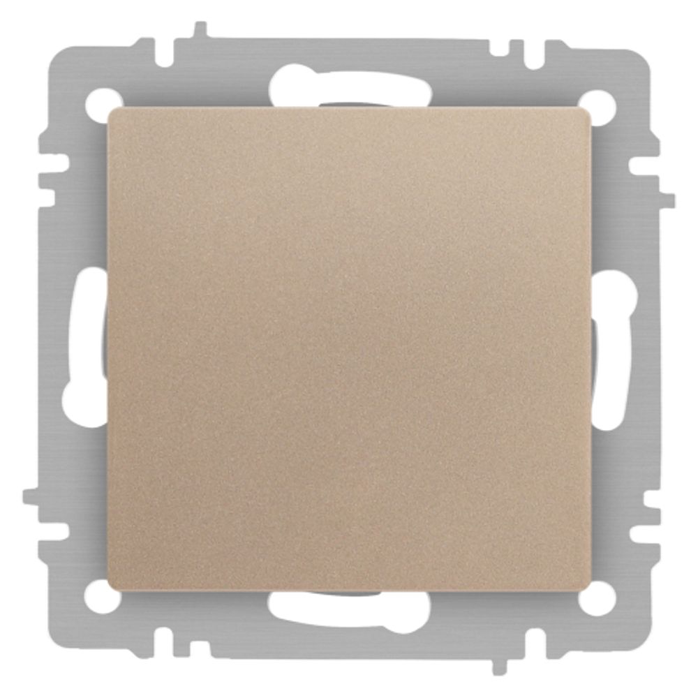 Кнопка Intro Accent 6-109-04 10А-250В IP20 СУ AL/CU шампань