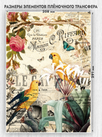 Трансфер для декупажа переводной рисунок для поверхностей винтажный 014