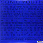 Sonic Youth / Sonic Youth (2LP)