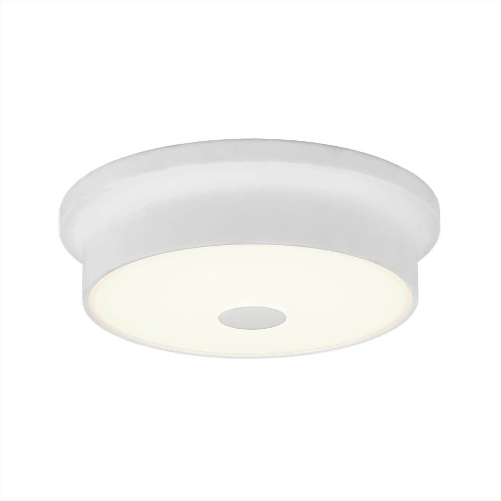 Citilux Фостер-2 CL706210 LED Светильник с диммером Белый