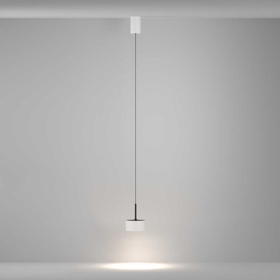 Подвесной светильник Maytoni Technical P102PL-12W4K-W