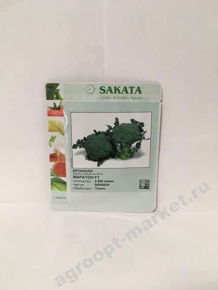 МАРАТОН F1 семена капусты брокколи (Sakata | Alexagro) – фото 2
