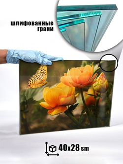 Модульная стеклянная интерьерная картина /Фотокартина на кухню /Летнее настроение /Цветы, 28x40 (зеленый / розовый)