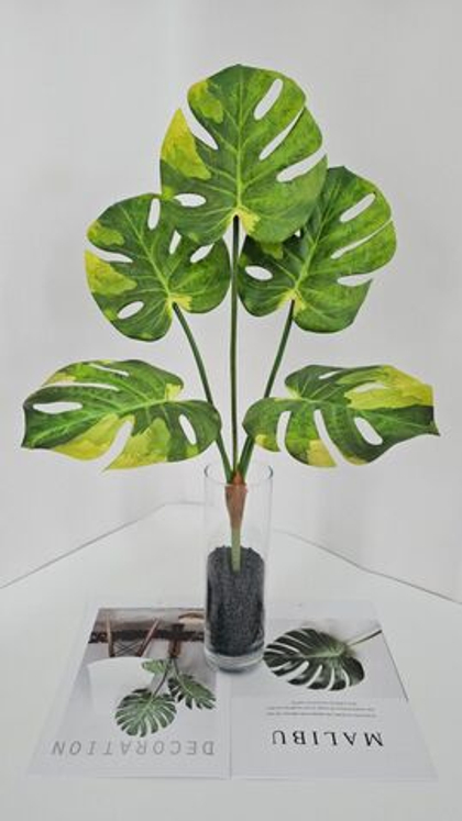 Монстера / Арт 6368