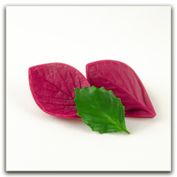 Лист георгина. Набор 1