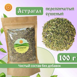 Растения