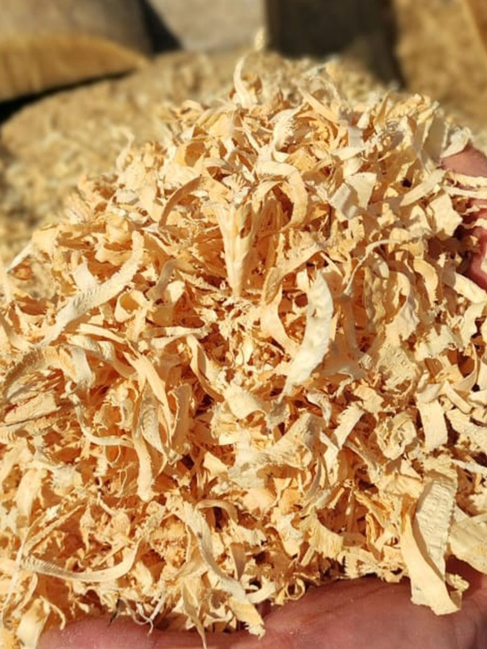 Древесная стружка из вяза для игрушек, подушек и валиков. OP4