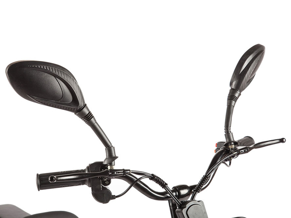 Электровелосипед Green City e-ALFA GL с термобоксом