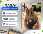 Пазл Шлёпа Большой Русский Кот Floppa Мяч