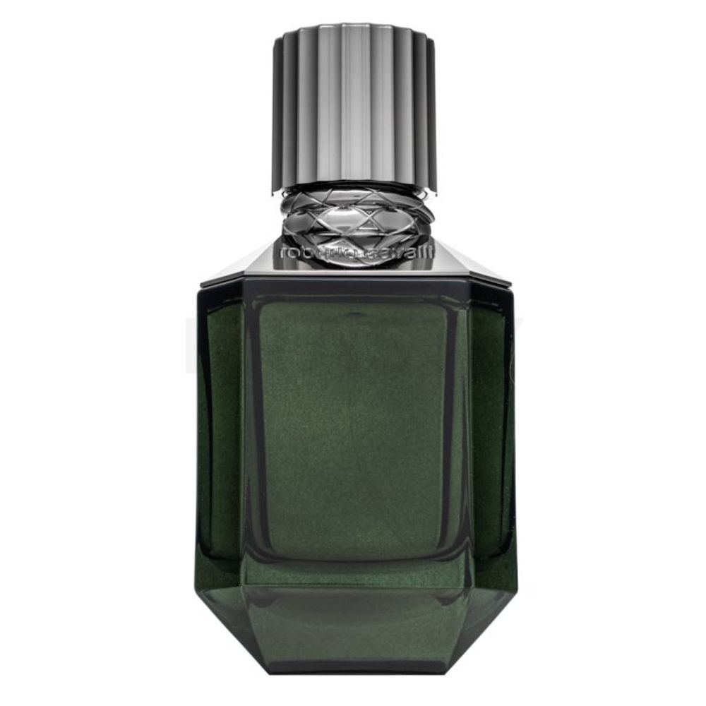 Roberto Cavalli Paradise Found EDT M 75 ml