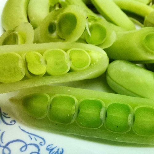 Снеп Горох Цветок Магнолии - Snap Magnolia Blossom Pea