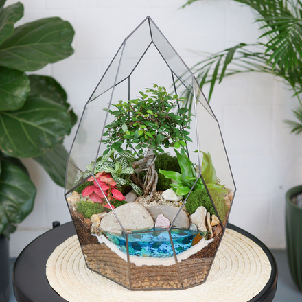 Готовый флорариум бонсай Японский вяз Айсберг с озером