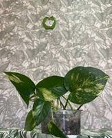 Новинки