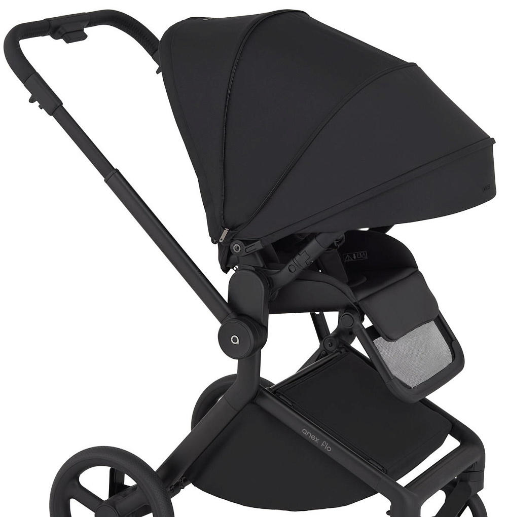 Детская коляска Anex Flo 2 в 1 Lungo
