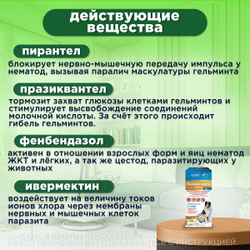 Таблетки от гельминтов и лямблий, профилактика дирофиляриоза для собак крупных пород Фенпраз Форте XL, 6 таблеток