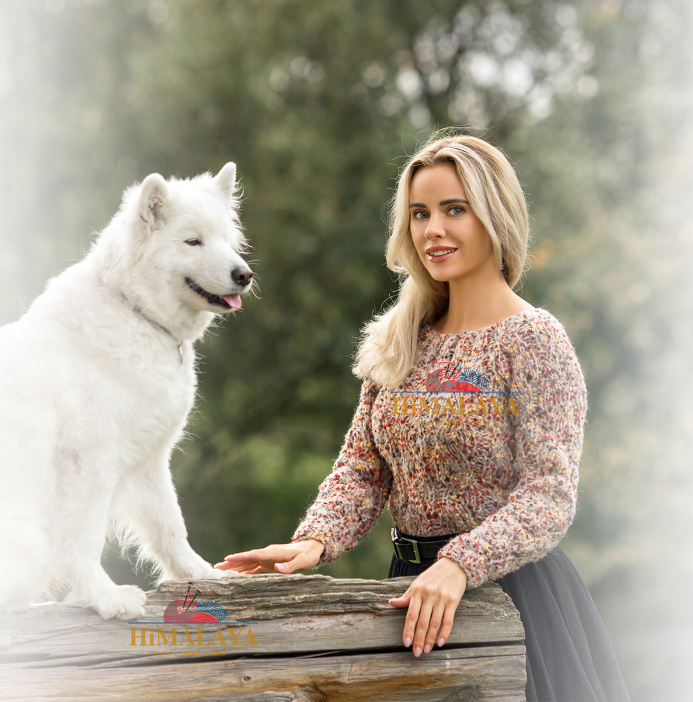 Пряжа Himalaya Arya (76609)