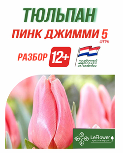 Тюльпан Луковица, Пинк Джимми, 5 шт, разбор 12+