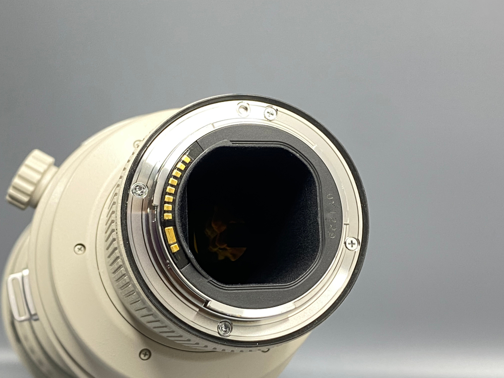 Canon EF 600mm 4L IS USM