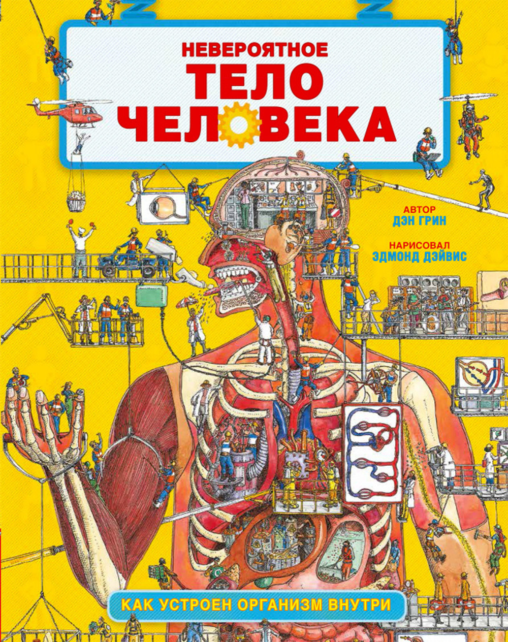 Невероятное тело человека. Как устроен организм внутри купить с доставкой  по цене 386 ₽ в интернет магазине — Издательство Clever