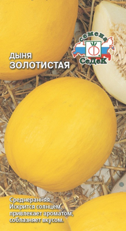 дыня Золотистая