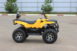 Квадроцикл IRBIS ATV200 Premium