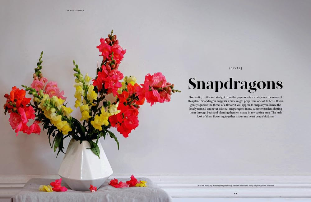 Petal Power