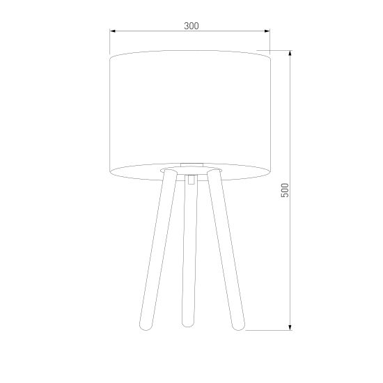 5290 / настольный светильник / Tokyo
