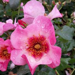 Ай Он Ми (Eye On Me)