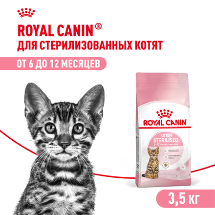Royal Canin Kitten Sterilised Корм сухой сбалансированный для стерилизованных котят 3,5 кг