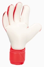 Вратарские перчатки Nike Grip 3