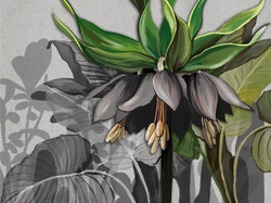 Коллекция SOLO