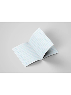 Набор тетрадей ТЕТРАДКИН, частая косая линия 5 мм, 12 л, цвет обложки - желтый, 10 шт