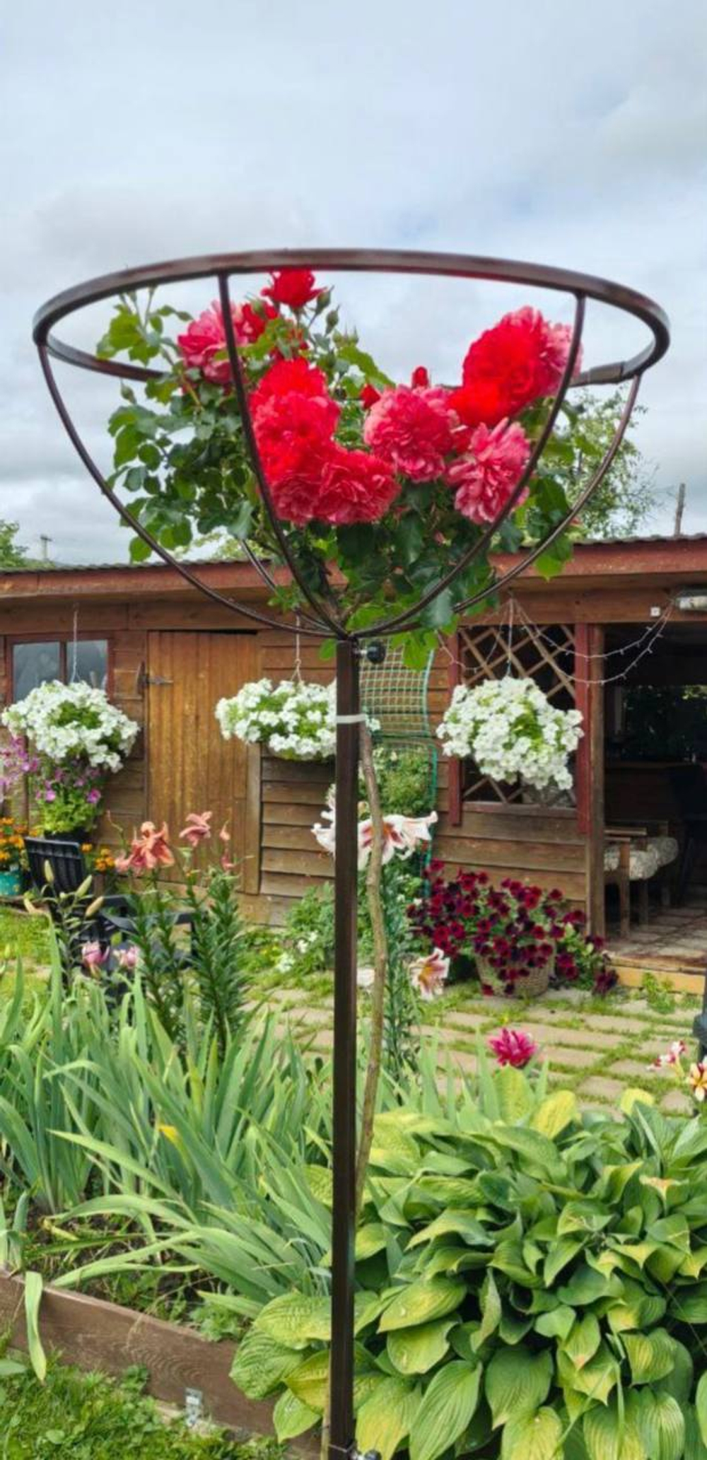 Опора для штамба 1шт от 80 до 170 см Закупка М50 получение Июнь 2026