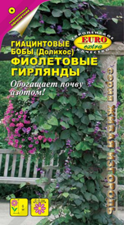 Гиацинтовые Бобы (долихос) Фиолетовые гирлянды