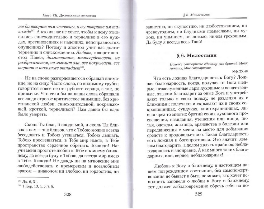 Мысли святителя Феофана Затворника о сокровенном мире человека