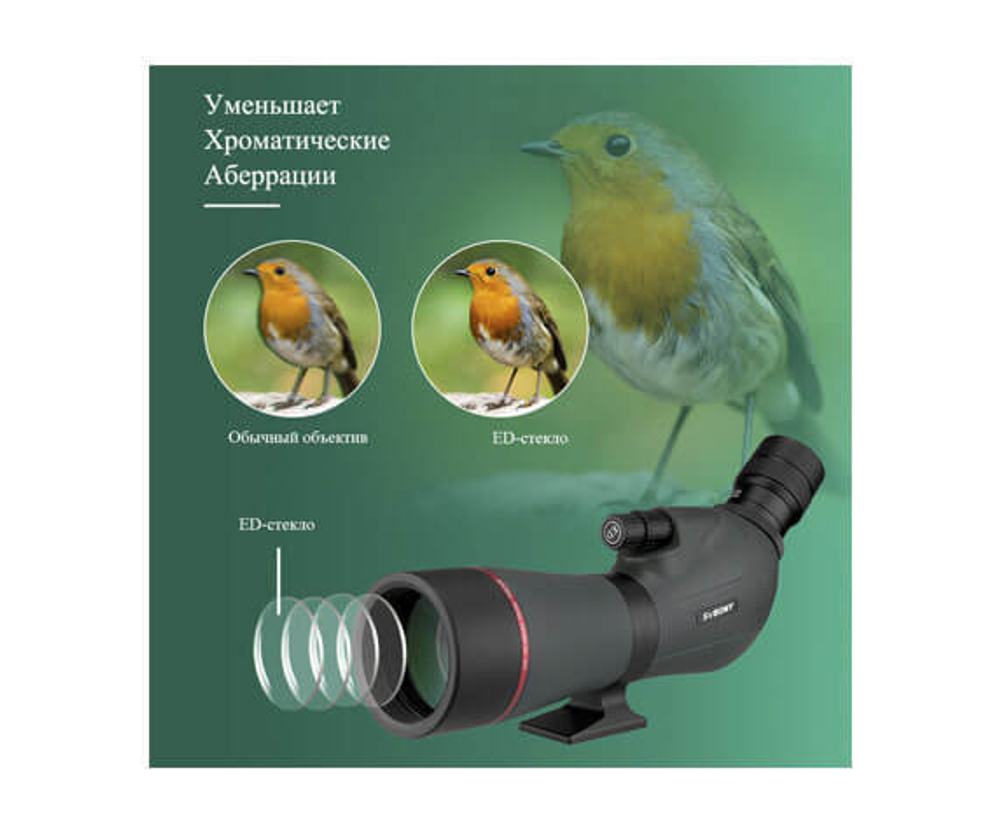 Зрительная труба SVBONY SV406P 16–48x65 ED WP - фото 6