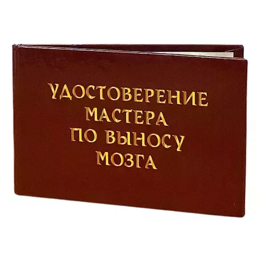 Шуточное удостоверение Мастера по выносу мозга