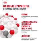 Royal Canin Boxer Adult (БОКСЕР ЭДАЛТ) Корм сухой для взрослых и стареющих собак породы боксер от 15 месяцев 12 кг