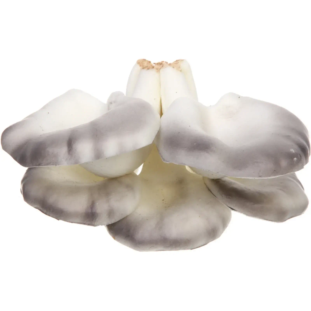 Фигура садовая «Вешенки» 10*14 см, серый